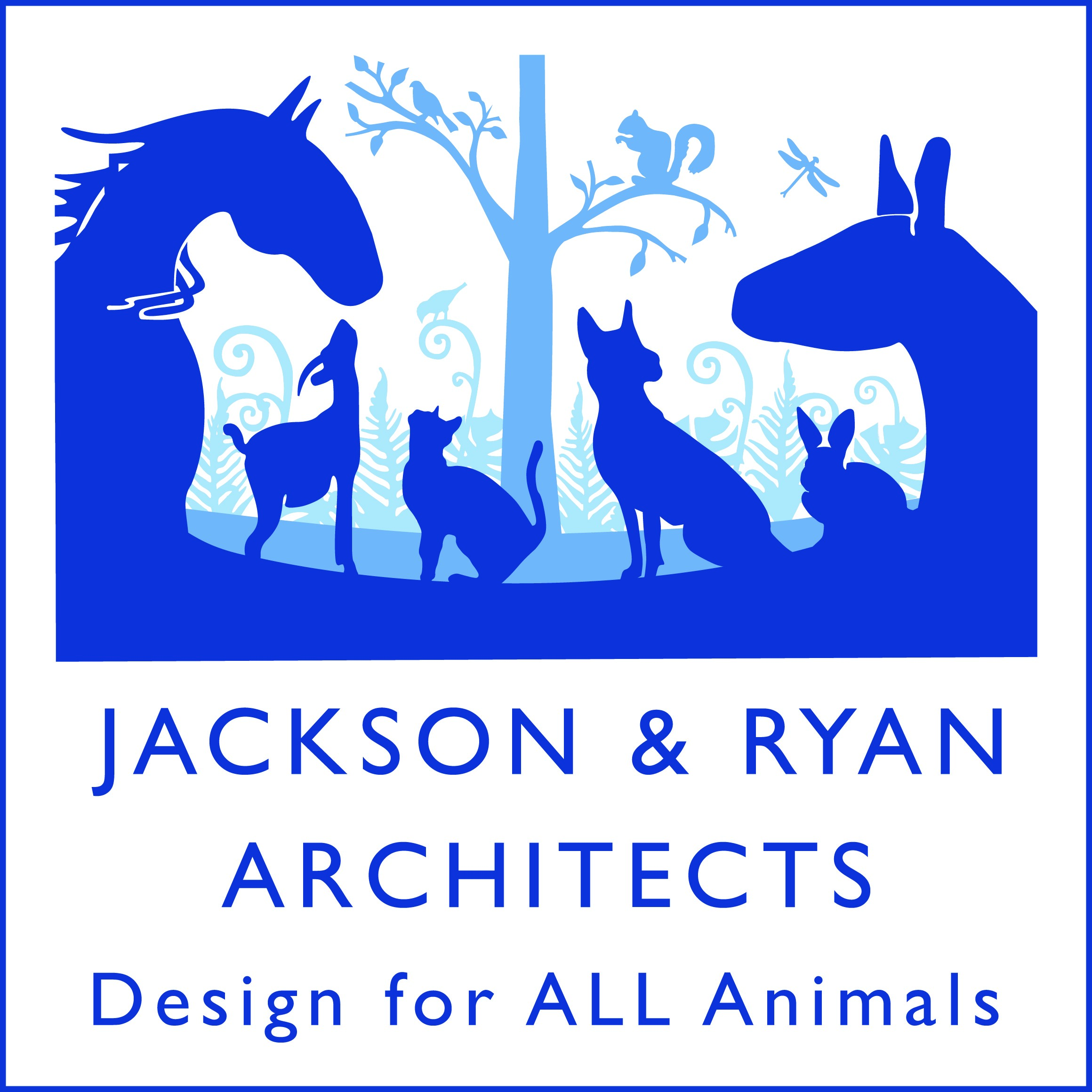 jackson and ryan architects